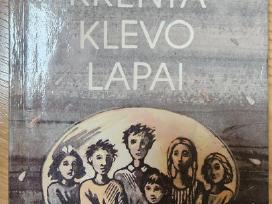 Senos grožinės literatūros knygos