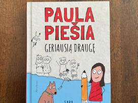 Paula piešia geriausią draugę - Sara Shepard