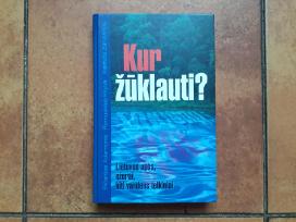 Autorių kolektyvas "Kur žūklauti" 2002 metai.