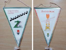Gairelė Žalgiris V. Džonso taurės laimėtojas