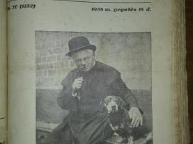 234. Šaltinis antikvarinis-kolekcinis savaitraštis