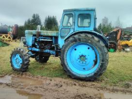 T40 Am dalimis