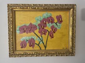 Paveikslas “orchidėja