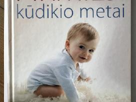 Pirmieji kūdikio metai -Robert Needlman