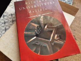 Knyga Vilniaus Universitetas dailėje