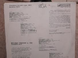 Vinilo plokštelės