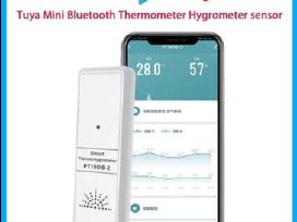 Bluetooth temperaturos stotele.nauja