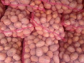 Maistines bulves.