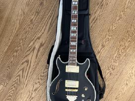 Ibanez elektrinė gitara, dėklas