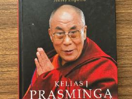 Dalai Lama “Kelias į prasmingą gyvenimą"