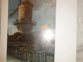 Dailės albumas Painting