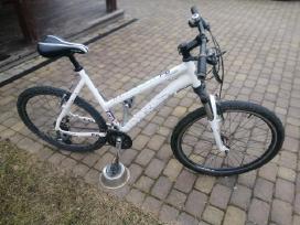 Dviratis