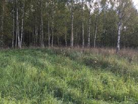 Parduodu 12.31ha žemės sklypą, 4,54 iš jų miškas