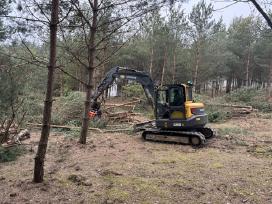 Apleistų sklypų tvarkymas,brangiai perkame biokurą