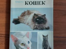Žinynas apie katės / The Guide to cats