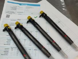 Embr00101d
