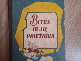 Bitės ir jų priežiūra