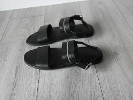 Bally 43d odinės