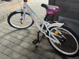 Kenzel Ziggy 20