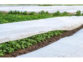 Agroplėvelė 1,6 m. x 1000 m.