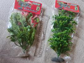 Akvariumo dirbtiniai augalai