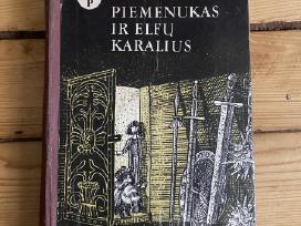 Švedų pasakos. Piemenukas ir elfų karalius.
