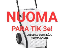 Pigiausia Kaune! Dregmes surinkejas nuoma