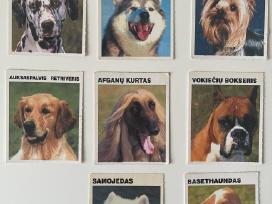 Pedigree Šuniuku Kolekcines korteles 8vnt.vintazas