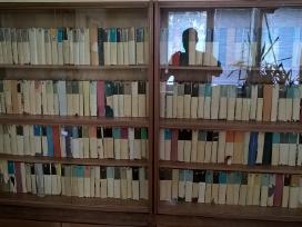Pasaulinės literatūros biblioteka rusų kalba