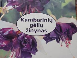 Trys knygos apie kambarines, šiltnamių gėles, tulp