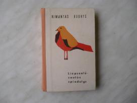 R.budrys - Liepsnelė - saulės spindulys