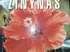 Kambarinių augalų žinynas