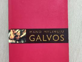 Knyga "Mano mylimųjų galvos", Ingrid Noll