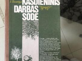 Kasdienis darbas sode 1988m