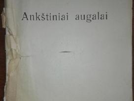 1396. Ankštiniai Augalai Krikščiūnas J. antikvarin