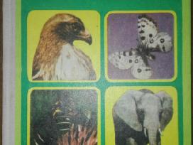 1408. Zoologia