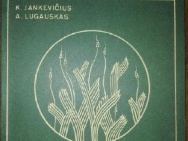 1432. Augalai-brangus Liaudies Turtas Jankevičius