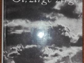 1460. Oi, Žirge Žirge
