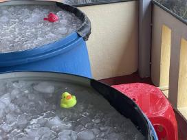 Ledo vonia / Ice Bath statinė 220 l – pirtims, spo