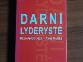 R. Boyatzis ,A. Mckee - Darni Lyderystė .