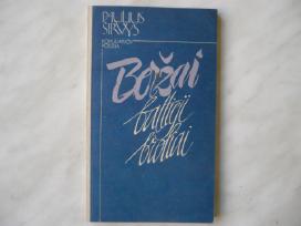 P. Širvys - Beržai baltieji broliai