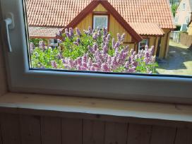 Pigiai kambarių nuoma Palangos centre