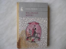 Persų pasakos - Migdolo medis