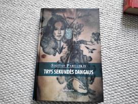Trys sekundės dangaus Sigitas Parulskis