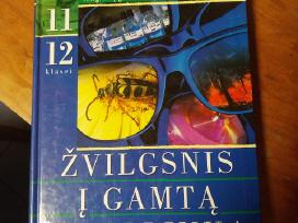 Žvilgsnis į gamtą ir aplinką