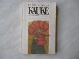 Įdomiausioji kaukė. Lietuvių satyra ir humoras