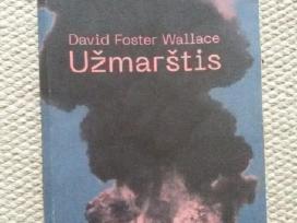Užmarštis David Foster Wallace