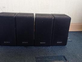 Sony koloneles
