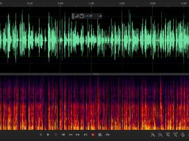 Garso balso įrašų valymas. Audio įrašų redagavimas