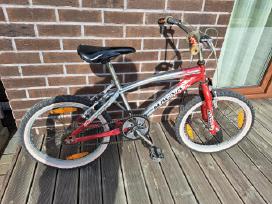 BMX Dvlratis Magna Paaugliui